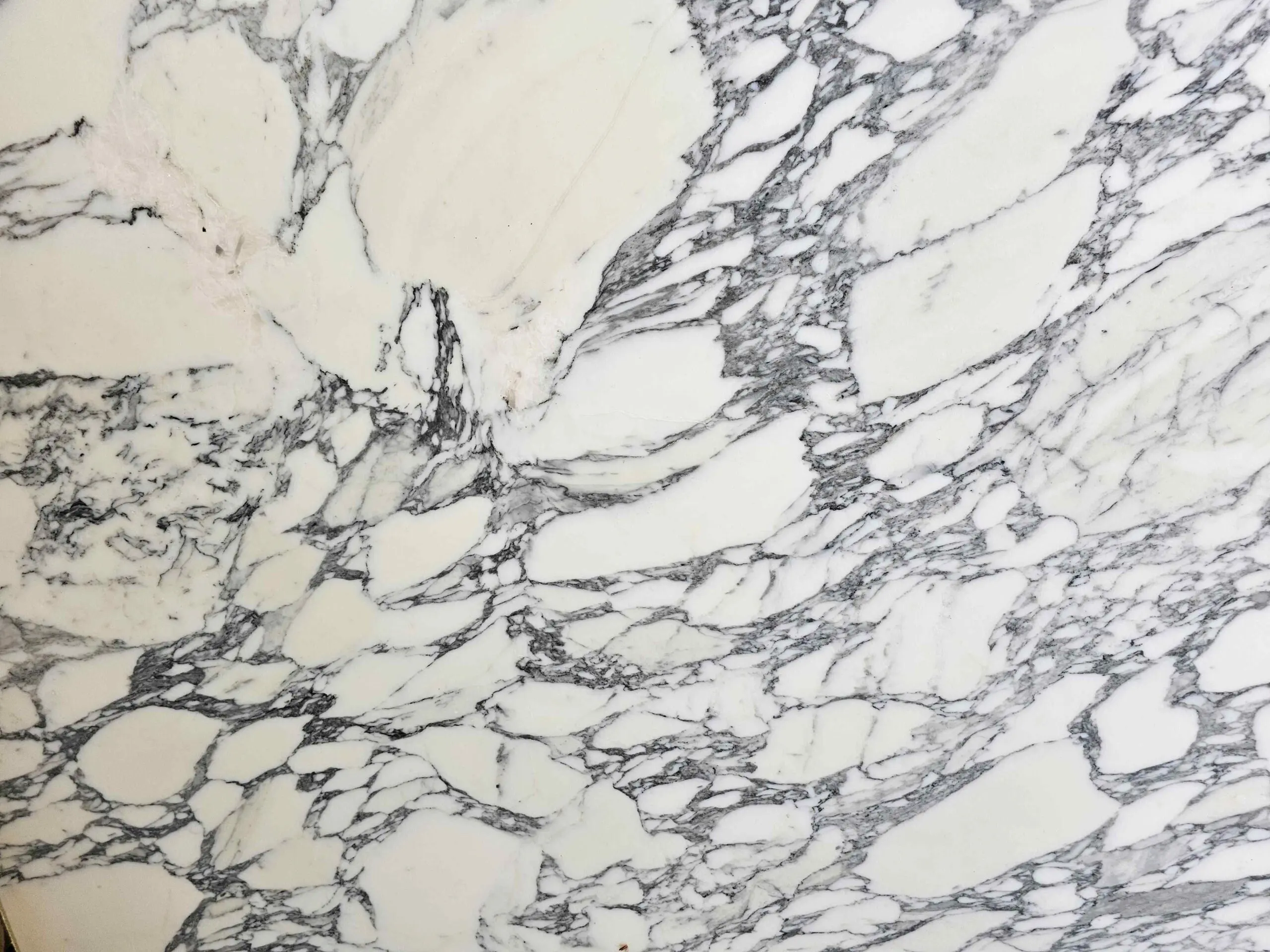 Arabescato Corchia — Marble