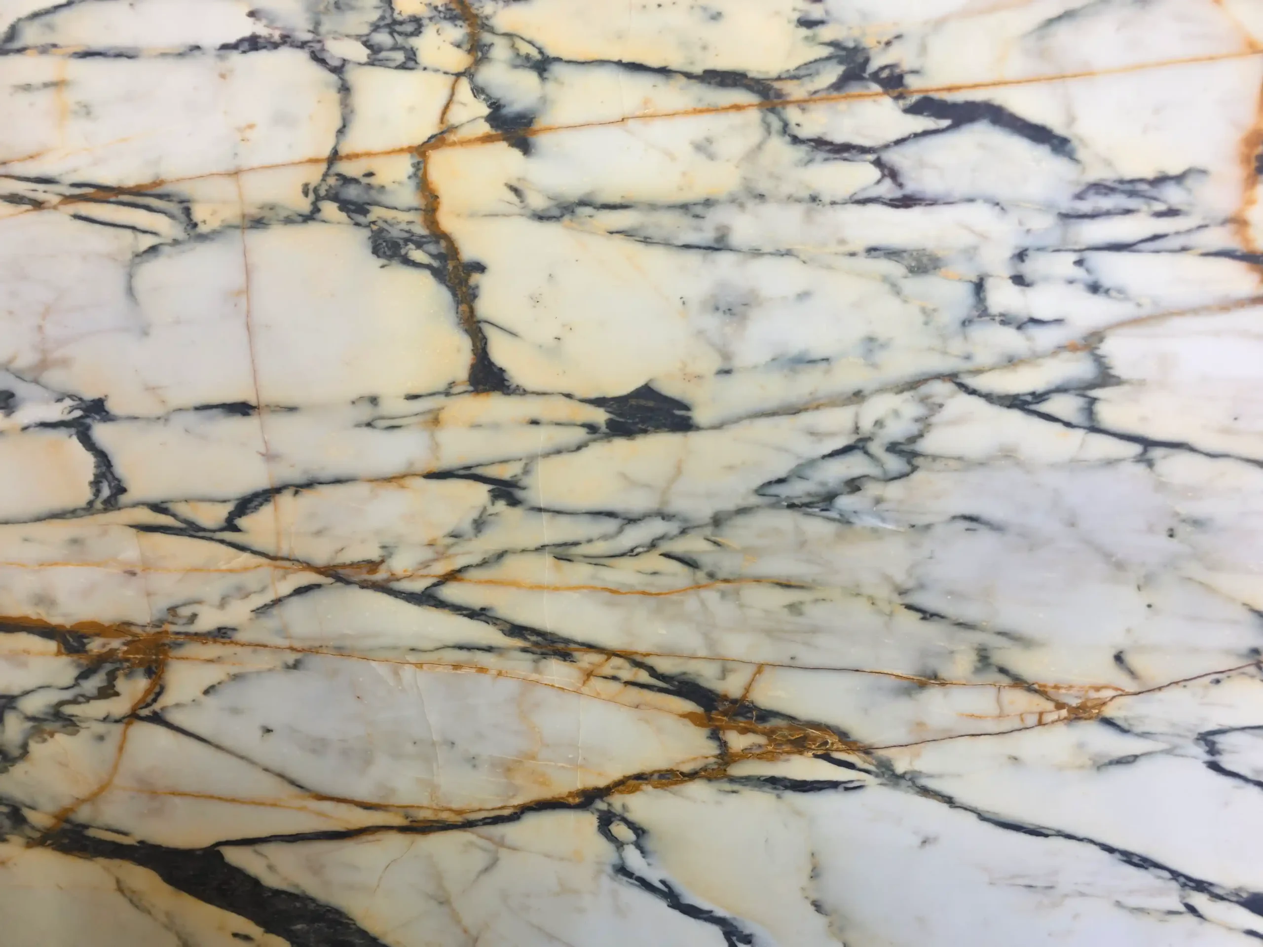 Calacatta Paonazzo — Marble