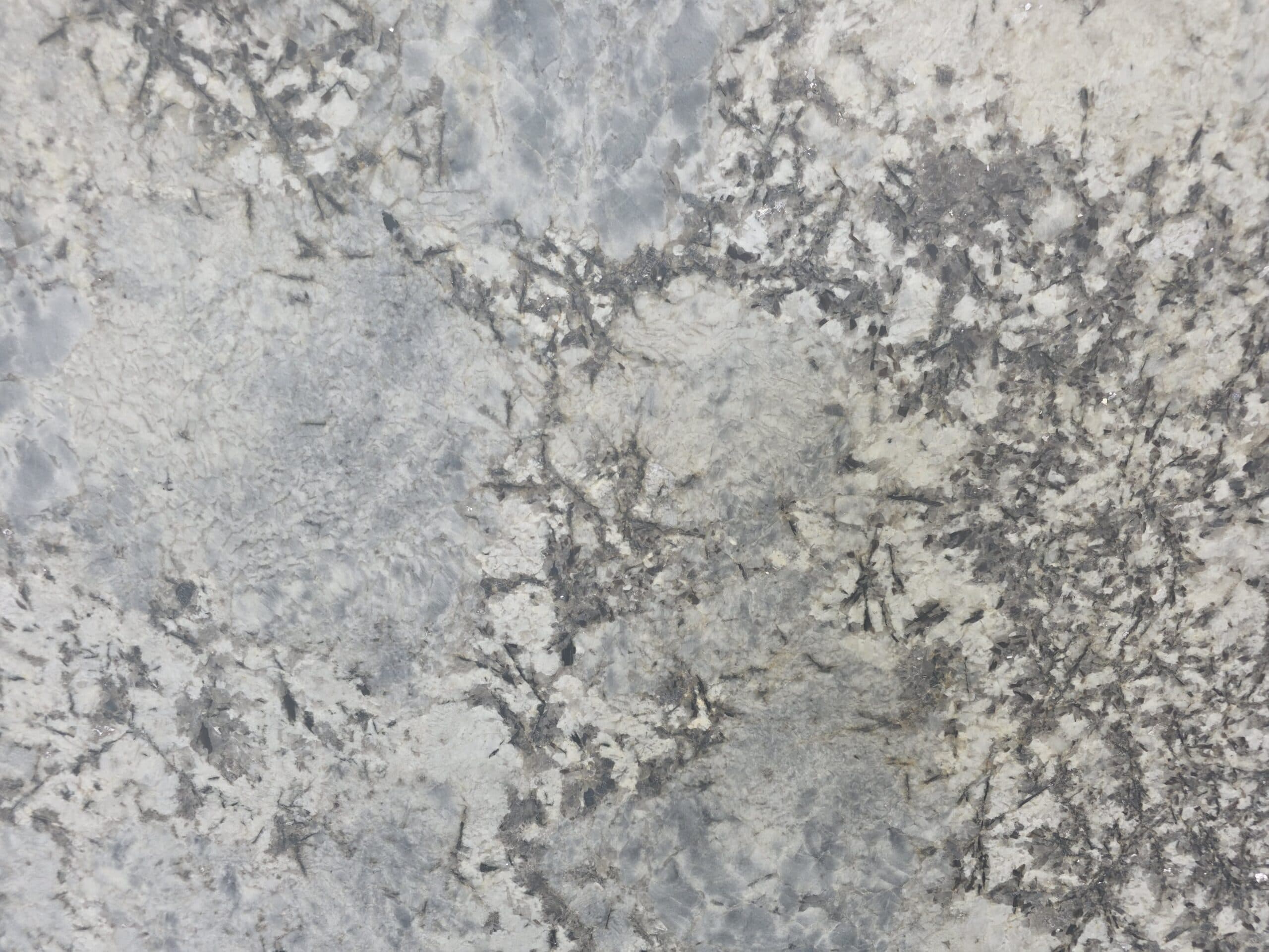 Blue Flower — Granite