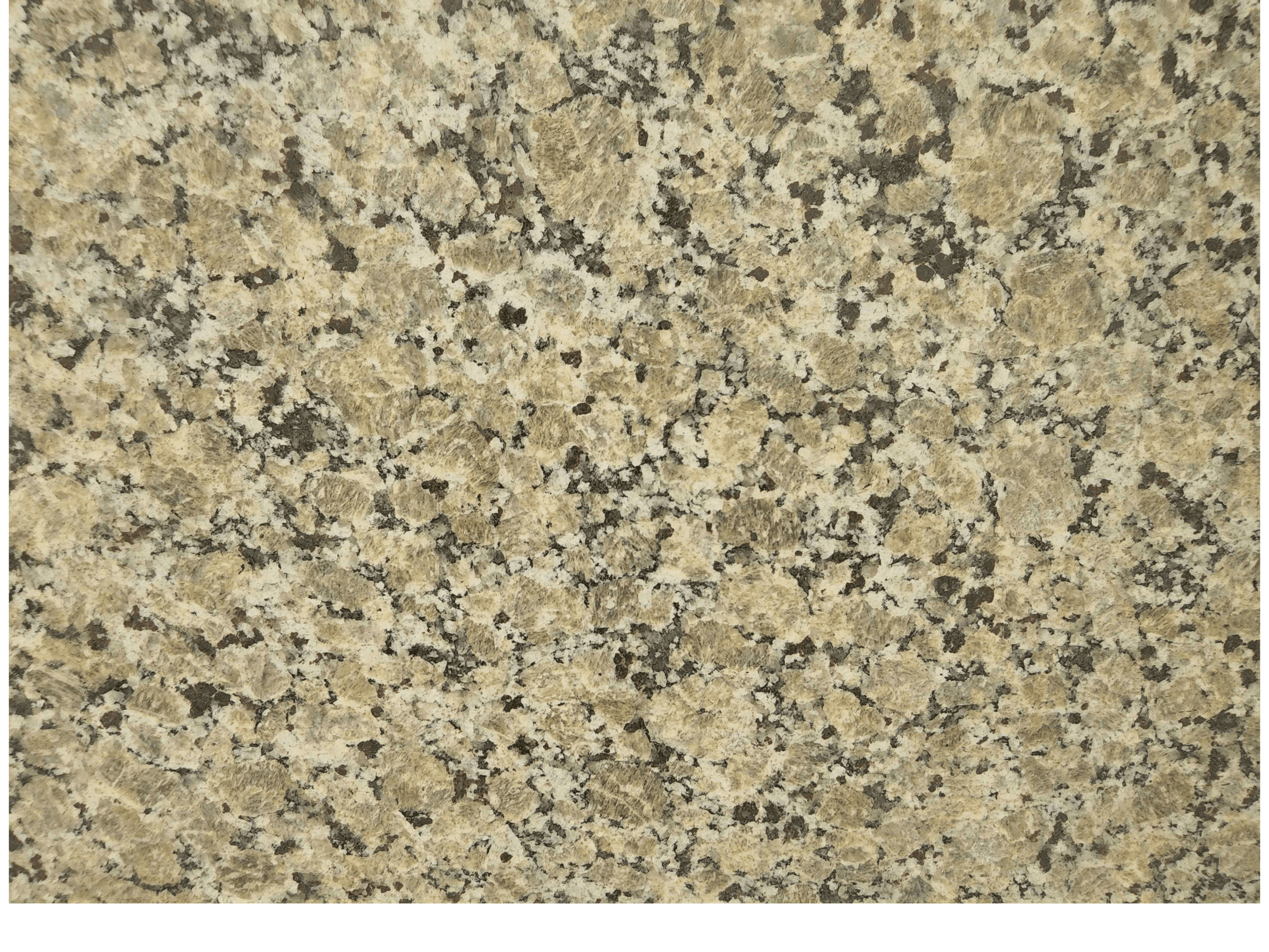 Butterfly Beige — Marble