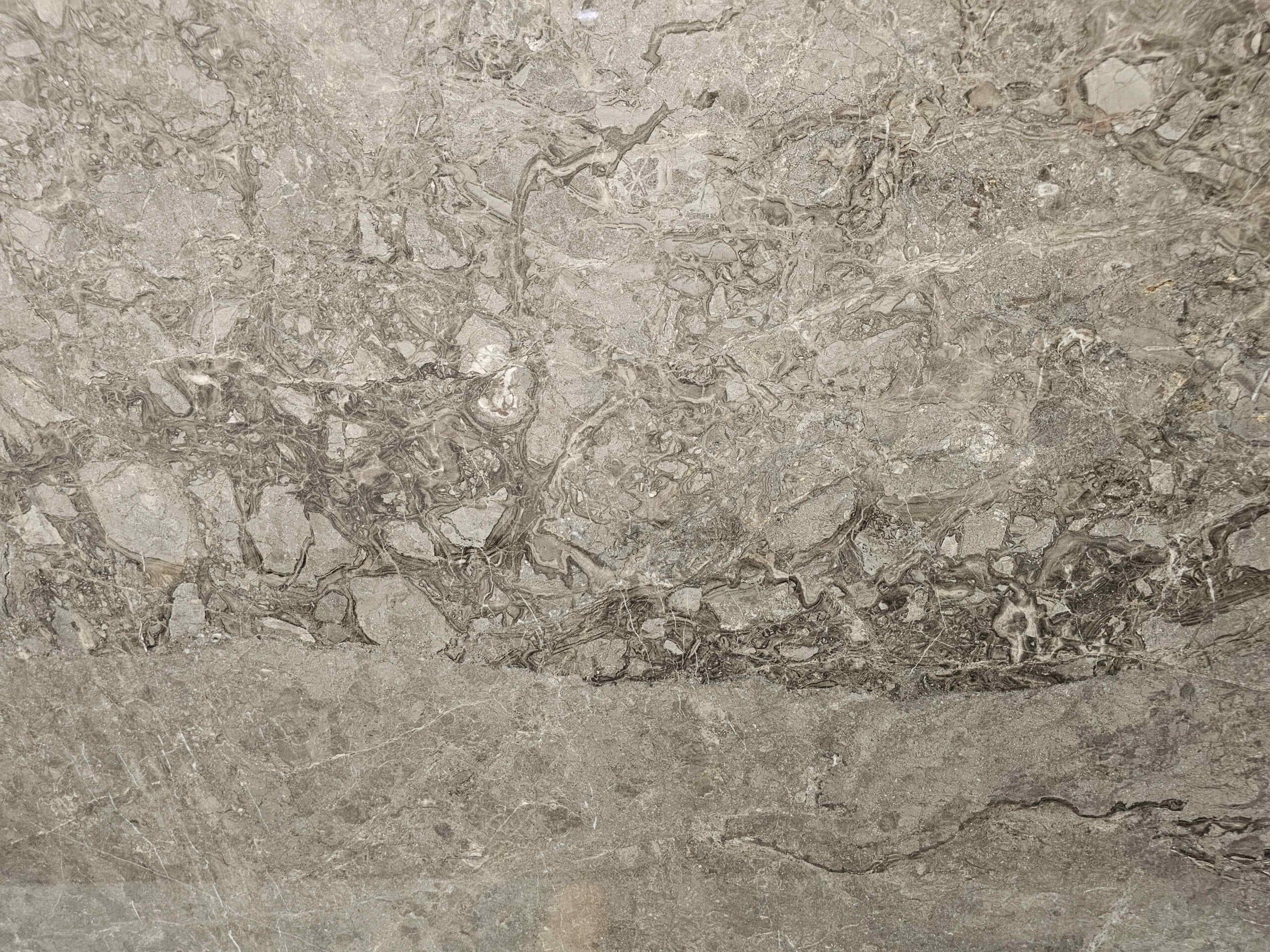 Crocodile — Marble