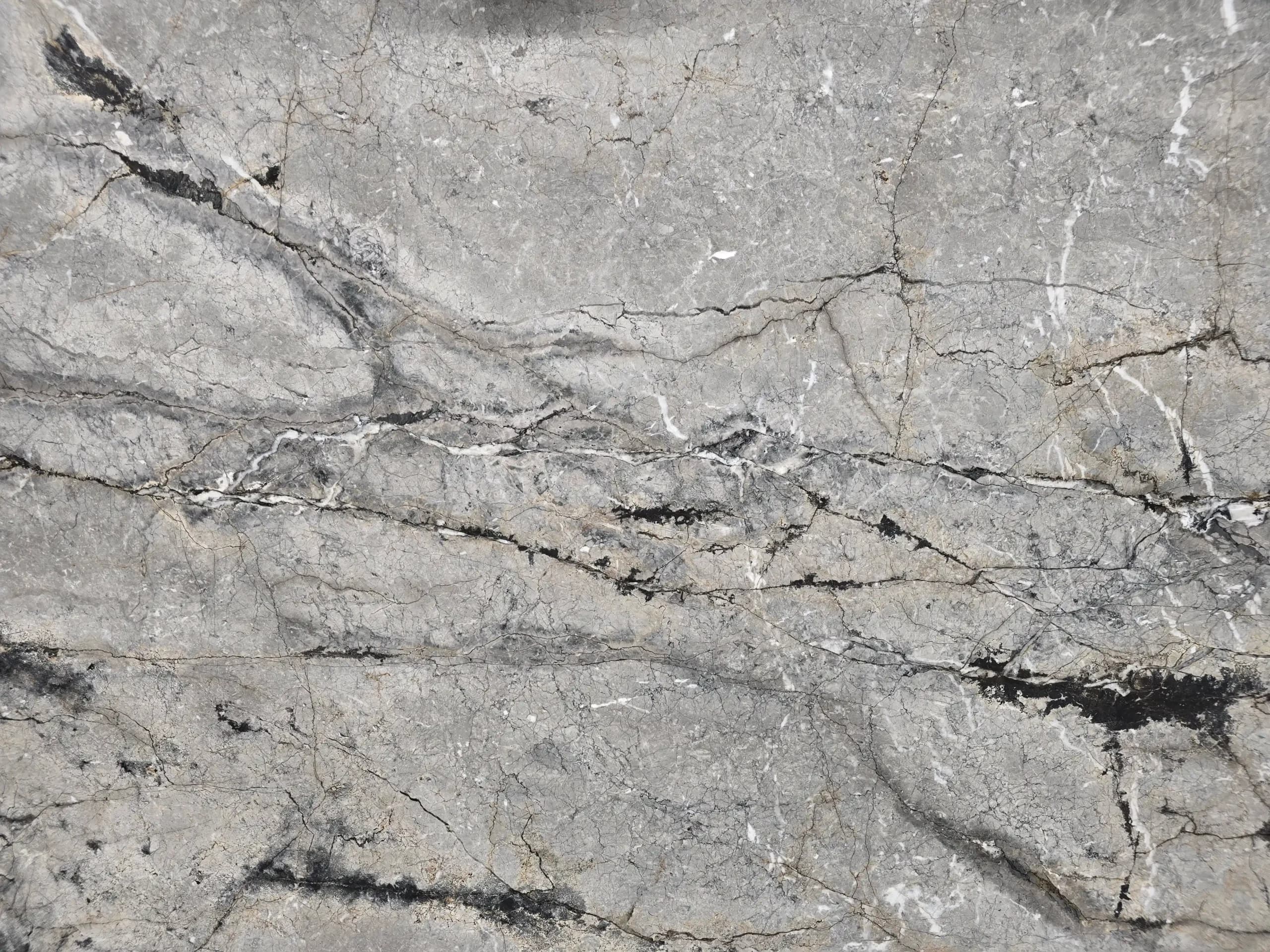 Silver Fusion — Quartzite